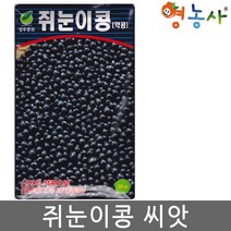 쥐눈이콩 씨앗 30g