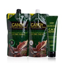 티에스 캔디 염색 트리트먼트 칼라 크림 400g 카스트리트먼트, 1개, 9NS(아주밝은황갈색)