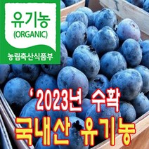 유기농인증 블루베리 냉동 대과 당일수확 농장직송, 1개, 1kg