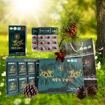 HN 솔잎증류농축액 송침유 혈당 건강식품 솔잎기름 혈당엔 제황의궁솔 500mgx180캡슐