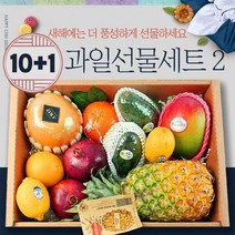 프리미엄 혼합 과일선물세트 2 애플망고 파인애플 레드향 아보카도 명절 과일선물세트, 명절 과일선물세트2호