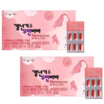 여성호르몬영양제 에스트로겐 갱년기증상 여성호르몬제 갱년기약 아님, 선택1_갱년기&우먼비바 2개월분
