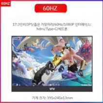 17 17.3 인치 60hz 144hz 게임용 휴대용 모니터 노트북 확장 디스플레이, 17.3인치 IPS 네로우 에지 60HZ
