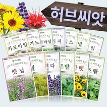 허브 씨앗모음전 - 캣닙 딜 라벤다 레몬밤 마가렛 마조람 벨가못 보리지 바실 스타티스 세이보리 아니스 오레가노 챠빌 카모마일 타임 페퍼민트 히솝 씨앗 종자, CC26=차이브 1g!