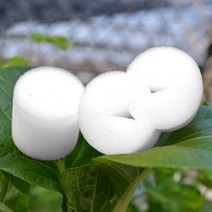 50PCS 식물 그물 컵 & 수경법 Aquaponics 난초 식물을위한 실린더 갯솜 UV 저항하는 플라스틱 컵을 시, 한개옵션0