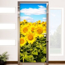 tc700-구름과하늘해바라기_현관문시트지