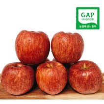 GAP인증 겨울 사과 경북사과 영주사과 부사 미야마 미얀마 새콤 달콤 아삭 꿀부사 햇사과(5kg/10kg), 1box, 10k 52-56과