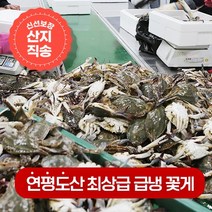 연평도 100% 활꽃게를 급냉한 냉동꽃게, 숫꽃게 1kg
