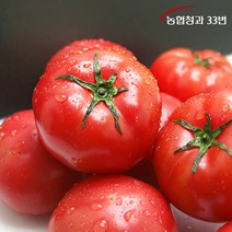 브랜드없음 [농협청과33번] 토마토 5kg 5번 (쥬스용), 단품없음