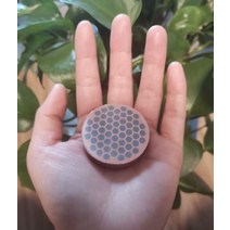 초전도체 로드 걱정 코인 EDC 직경 44mm 두께 10mm, 1개