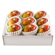 [제주한라농원] 한라산 제주애플망고, 3kg 9~11수