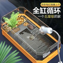 거북이 청거북 페닌슐라쿠터 어항 사육 세트 조경 홈