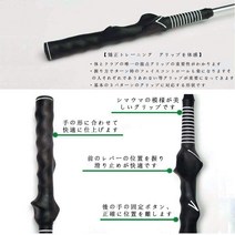 골프 연습기 몸짓 스윙 연습 용품 고쾌음 티칭 사운드로 100 절단 레벨 5에 도전 파워풀 트레이너 마스터 머신 교정 기구, [01] 블루