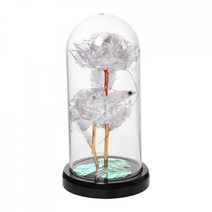 QDY 결혼 발렌타인 데이를위한 영원한 꽃 꽃 여자, 12x23cm, 플라스틱, 하얀색