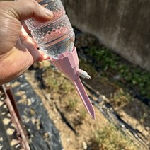 랜덤색상 화분물주기 화분자동급수기, 단품