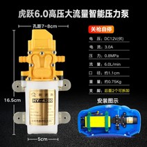 농사용 전동 분무기 충전기 약치는기계 농약 12V 볼트 펌프 모터 고압, 호약 6.0 대유량 고압 펌프/소총자동정지  + 1개