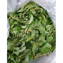 국내산 비름나물 쇠비름 비듬나물 생비름나물 1kg, 1개