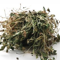 동의한재 자연산 국산 햇 사매 뱀딸기풀 500g, 1개