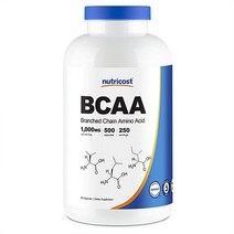 뉴트리코스트 BCAA 아미노산 L류신 500캡슐