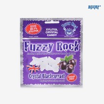 퍼지락 자일리톨 캔디 블랙커런트맛 40g, 1개