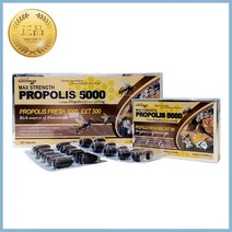 네이쳐스그린웨이 호주 고함량 프로폴리스 5000mg 120정(4개월분), 120정, 1개