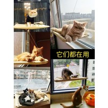 유리창 걸이형 선반 고양이 해먹 강력흡착력 반려동물 댕기형 부뚜막 튼튼한 침대 전망대, 35근 이내의 고양이(척은 뜨거운 물에 담가야 함)