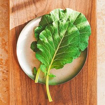 유기농 케일 녹즙용 쌈용 1kg 2kg, 녹즙용 케일 2kg