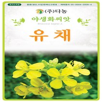 야생화 꽃씨 유채꽃 5g