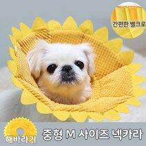 브라더펫 강아지넥카라 고양이넥카라 넥카라 피부 관리 목호보대 M 애견 강아지 고양이 벨크로 찍찍이 소형 깔대기, 1개