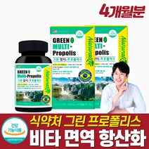 식약청 브라질 그린 프로폴리스 비타민 아연 면역력높이는영양제 항산화제 만성 염증 영양제 여성 남성 면연력 보충 환절기 면역강화 코 목 입 안 속 인후 구취 항균 천연 항생제