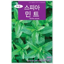 허브 씨앗 택1 (라벤다/로즈마리/레몬밤/마조람/바질/스피아민트/세이지/에키네시아/차이브/카모마일/코리안더/타임/페퍼민트/히솝/아마란스), 90번 스피아민트 2000립, 1개