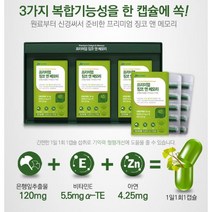 프리미엄 징코 앤 메모리 두뇌 인지력 기억력 영양제 손발저림 혈행개선 수험생 청소년 갱년기 60대 70대 기억력 집중력 은행잎추출물 혈액순환, 90캡슐(3개월) x 4개