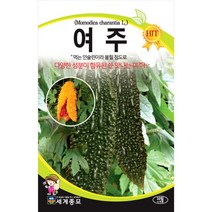 여주 씨앗 채소 종자 야채 오이 쓴오이 여주씨 10알