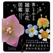 꽃 꽂이 플라워 스타일링 아름 다운 작은 잡초 도감 일본 직배송