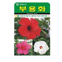 SN월드 야생화 씨앗 꽃씨앗 모음, 야생화 - 부용화(100립)