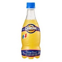 롯데칠성음료 오랑지나, 420ml, 23개