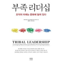 부족 리더십: 조직의 미래는 문화에 달려 있다, 한울아카데미, 데이브 로건존 킹헤일리 피셔-라이트