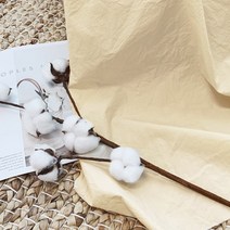 퀼트가게면 80수 고밀도 워싱무지 뽀송뽀송 내츄럴 천 원단