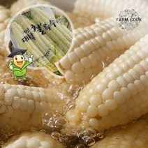 [KT알파쇼핑][팜쿡]괴산 삶은 대학찰옥수수 냉동 9개(팩당3개), 9개
