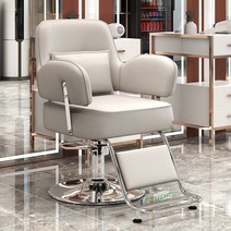 미용실 의자 이발소 메이크업 높낮이 리프트 회전 특수의자 등받이, 공식 표준, 라이트 그레이 실버, 1개