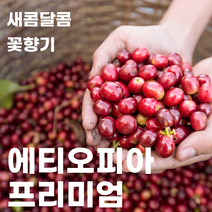 스페셜티 에티오피아 프리미엄 블랜드 (원두 커피 200g 500g) 코케허니 아바야게이샤 G1, 에스프레소 분쇄