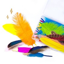 [만꾸] 깃털 세트