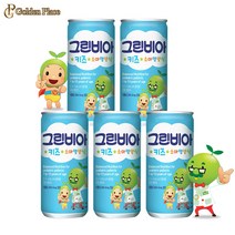 그린비아 키즈 200ml 5캔 소아영양식 어린이 환자용 균형영양식 유동식 경관식 G