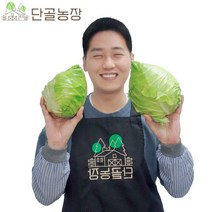 제주 산지직송 당도 UP! 고당도 고깔양배추, 고깔양배추 3kg / 2~3개
