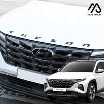 (모스트픽) 투싼 NX4 튜닝 투톤 레터링 아크릴 엠블럼 이니셜 로고 엠블렘 드레스업 용품 악세사리, (모픽) 도어 휀다 엠블럼 2p - 티타늄 실버