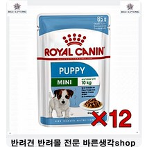 비숑사료추천 고냥이강아지부드럽게씹히는간식 강아지좋은사료 5개월강아지사료 푸들사료추천 강아지필수품 사료잘안먹는강아지 반려견사료
