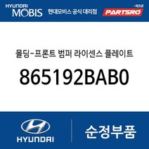 몰딩-프론트 범퍼 라이센스 플레이트(롱) (865192BAB0) 싼타페 더 스타일 현대모비스 부품몰