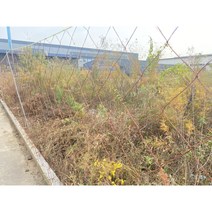 공장직송 해태망 퇴치망 노루망 고라니망 울타리망 동물방지망 멧돼지망 1.8m x 40m