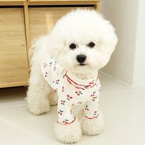 토끼독 고탄성 체리 티셔츠 3컬러 XS-3XL 명품 강아지옷 강아지사계절옷 봄옷, 화이트