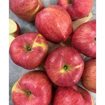 경북 청송사과 홍로 부사 꿀사과 못난이 가정용 중소과 10Kg